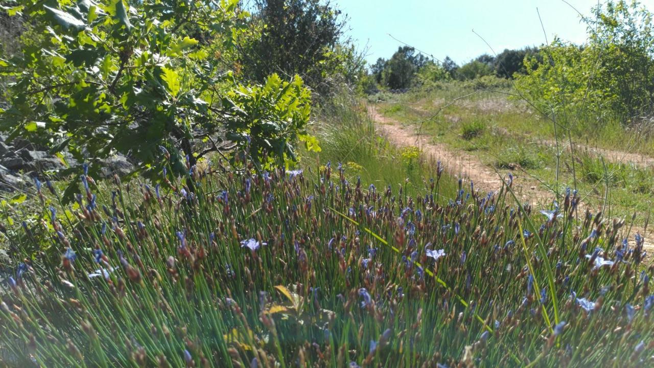 Gite Bardelle Orgnac-lʼAven Exteriér fotografie